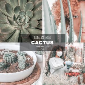 Cactus Preset