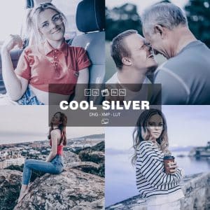 Cool Silver Preset