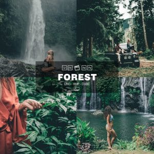 Forest Preset