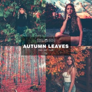 Autumn Leaves Preset